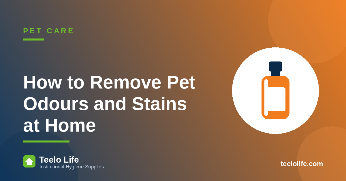 How to Remove Pet Odours and Stains at Home